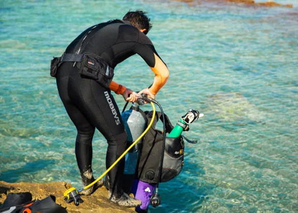 選べる、海のはじめ方。