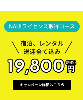キャンペーン